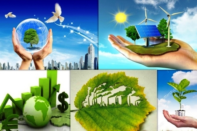 Vietnam strives to boost green agriculture development